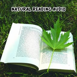 Natural Reading Audio - White Noise Research