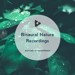 Binaural Nature Recordings - Nature Atmospheres