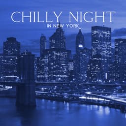 Chilly Night in New York - Soft Jazz Music