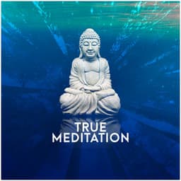 True Meditation - Yoga Relaxation Music