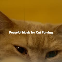 Peaceful Music for Cat Purring - Morgen Jazz Ambiente