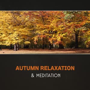 Autumn Relaxation & Meditation – Zen Garden, Forest River Sounds, Mindfulness & Yoga, Tranquil Ambient, New Age, Deep Serenity, Gratitude & Appreciation - Harmony Nature Sounds Academy