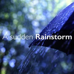 A Sudden Rainstorm - A Sudden Rainstorm