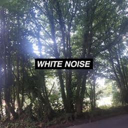 Stress Relieving White Noise Collection - Rain Noise Collectors