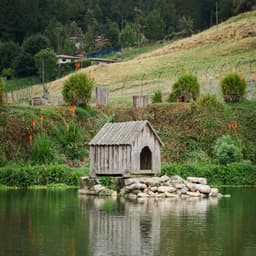 1 Coastal Eve: The Great Beyond - Nature Sound Collection