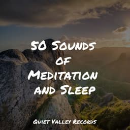50 Sounds of Meditation and Sleep - Rainforest Sounds