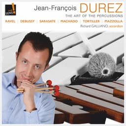 The Art of the Percussions - Jean François Durez
