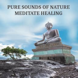 Pure Sounds of Nature - Meditate Healing Music for Yoga and Relaxation, Massage, Spa - Ultimate Music Academy