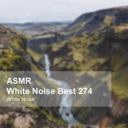 White Noise ASMR Best 274 - White Noise