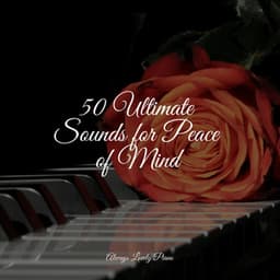 50 Calming Background Piano Songs - Relaxar Piano Musicas Coleção