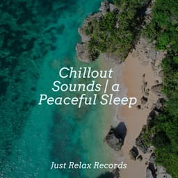 Chillout Sounds | a Peaceful Sleep - Meditation Relaxation Club