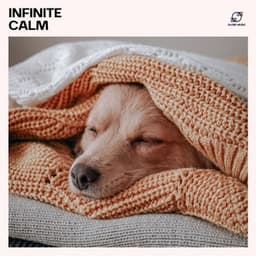 Infinite Calm: Sleep Music - Dream Sleep Music