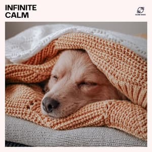 Infinite Calm: Sleep Music - Dream Sleep Music