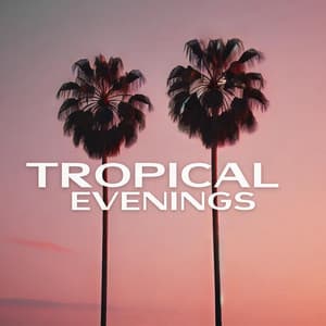 Tropical Evenings: Ibiza Twilight, Relaxed Beach Day, Hot Chillout Mix - Chilled Ibiza