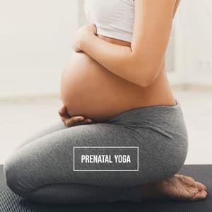 Prenatal Yoga. Breath Deeply & Get Rid of Stress. Relax & Strengthen the Body, Get Ready for Childbirth - Positive Yoga Project