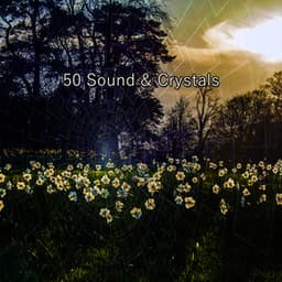 50 Sound & Crystals - Musica Para Estudiar Academy