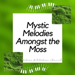 Mystic Melodies Amongst the Moss - Nature Meditation Channel