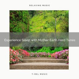 Experience Sleep with Mother Earth Hard Tunes - Ambient Forest