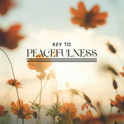 Key to Peacefulness: Soothing Music for Balancing Meditation and Regulating Your Emotions - Mantras Guru Maestro