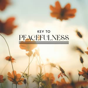 Key to Peacefulness: Soothing Music for Balancing Meditation and Regulating Your Emotions - Mantras Guru Maestro