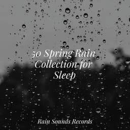 50 Spring Rain Collection for Sleep - Canciones De Cuna