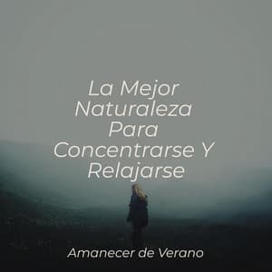 La Mejor Naturaleza Para Concentrarse Y Relajarse - Yoga Music