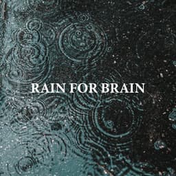 Rain for Brain: Soothing Rain Sounds for Studying - Brain Study Music Guys