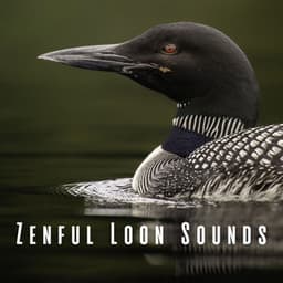 Zenful Loon Sounds - Forest Sounds