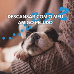 Descansar com o Meu Amigo Peludo - Música de Cachorro Calmante