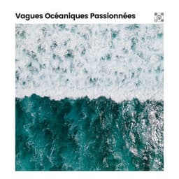 Vagues Océaniques Passionnées - Vagues Dans La Mer