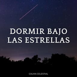Dormir Bajo Las Estrellas: Calma Celestial - Nubes dormidas