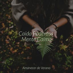 Caída Poderosa Mente Calma - Cascada de Lluvia