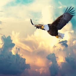 Stronger Than Yesterday - Andres Beats