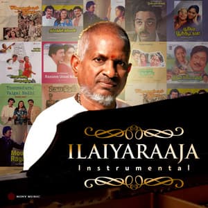 Ilaiyaraaja Instrumental - Ilaiyaraaja