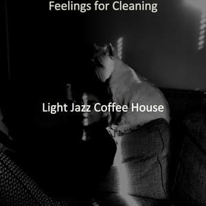 Feelings for Cleaning - Light Jazz Coffee House