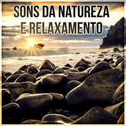 Sons da Natureza e Relaxamento: Meditação, Bem Estar e Musicas para Relaxar, Yoga, Reiki, Sono, Zen, Massagem e Estudam, Sons de Cura - Música de Yoga Relaxamento