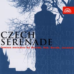 Czech Serenade - Selection - Jan Panenka