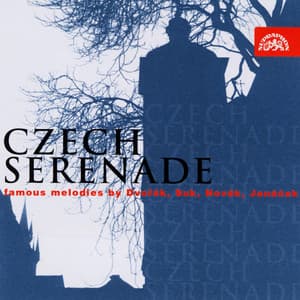 Czech Serenade - Selection - Jan Panenka
