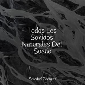 Todos Los Sonidos Naturales Del Sueño - Música ambiental relajante
