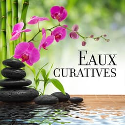 Eaux curatives - Zen Ambiance D'eau Calme
