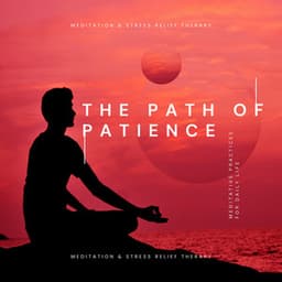 The Path of Patience: Meditative Practices for Daily Life - Meditation & Stress Relief Therapy