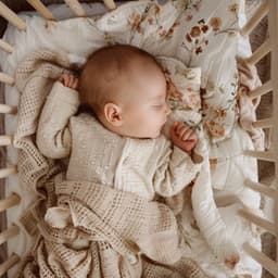 Melodías Suaves Del Sueño: Música Para El Sueño Del Bebé - Naturaleza de Suecia