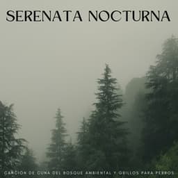 Serenata Nocturna: Canción De Cuna Del Bosque Ambiental Y Grillos Para Perros - Grillos nocturnos