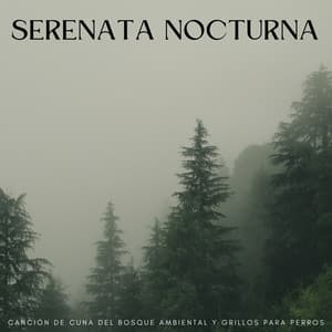 Serenata Nocturna: Canción De Cuna Del Bosque Ambiental Y Grillos Para Perros - Grillos nocturnos