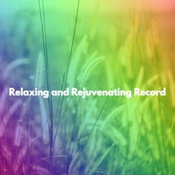 Relaxing and Rejuvenating Record - Shopping Music