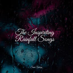 The Inspiriting Rainfall Songs - Rain