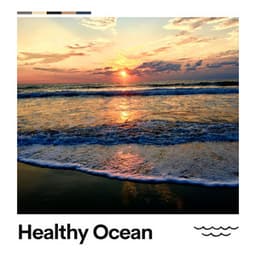 Healthy Ocean - Sounds of Nature Noise
