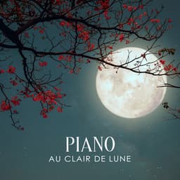 Piano au clair de lune: Musique instrumentale pour dormir, Thérapie calme de l'insomnie, Piano paisible - Oasis de Sommeil