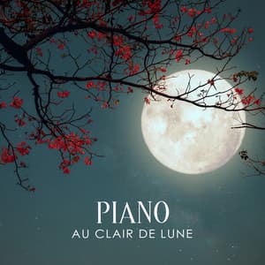 Piano au clair de lune: Musique instrumentale pour dormir, Thérapie calme de l'insomnie, Piano paisible - Oasis de Sommeil