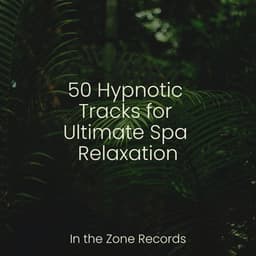 50 Hypnotic Tracks for Ultimate Spa Relaxation - Meditation Relaxation Club
